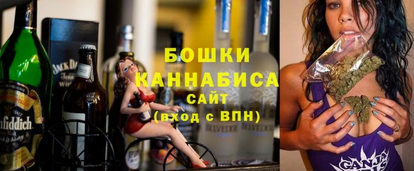прущие грибы Осинники