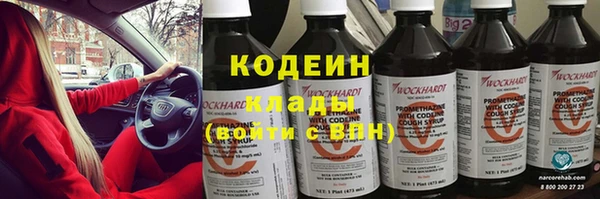 сатива Осташков