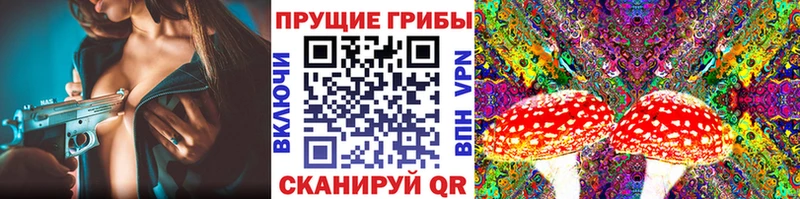 Купить где  Копейск  Псилоцибиновые грибы MAGIC MUSHROOMS 